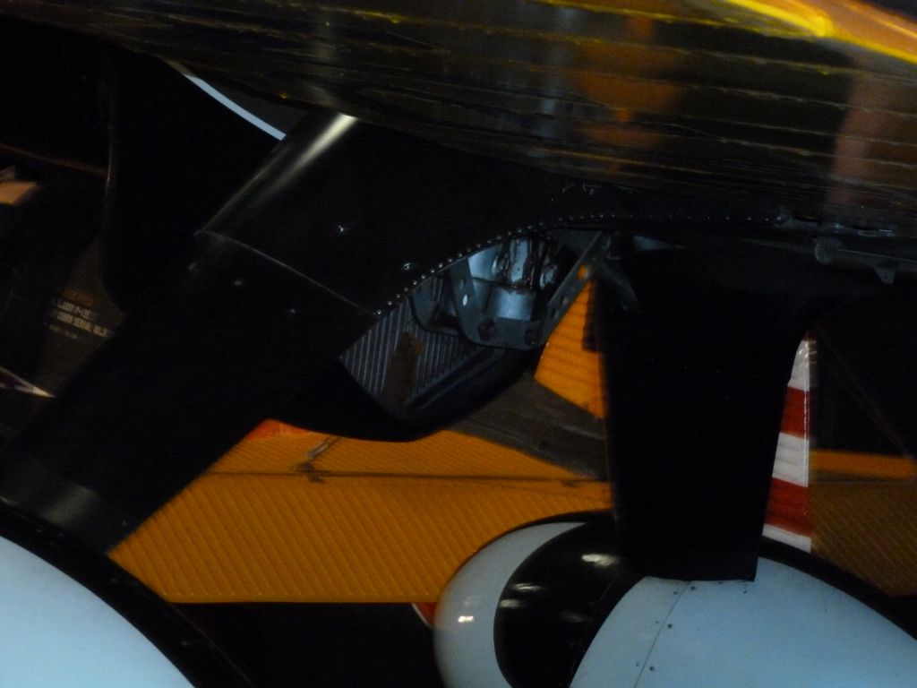 P61024.jpg