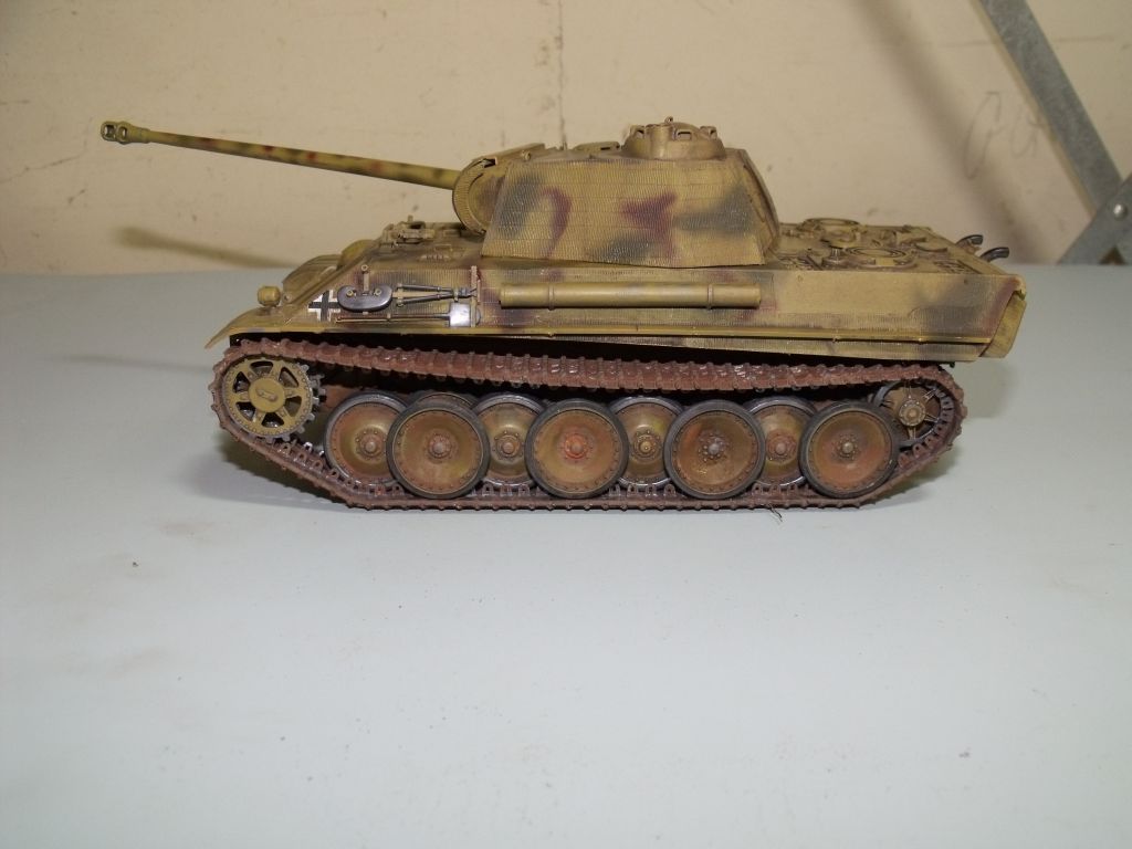 Panther022.jpg