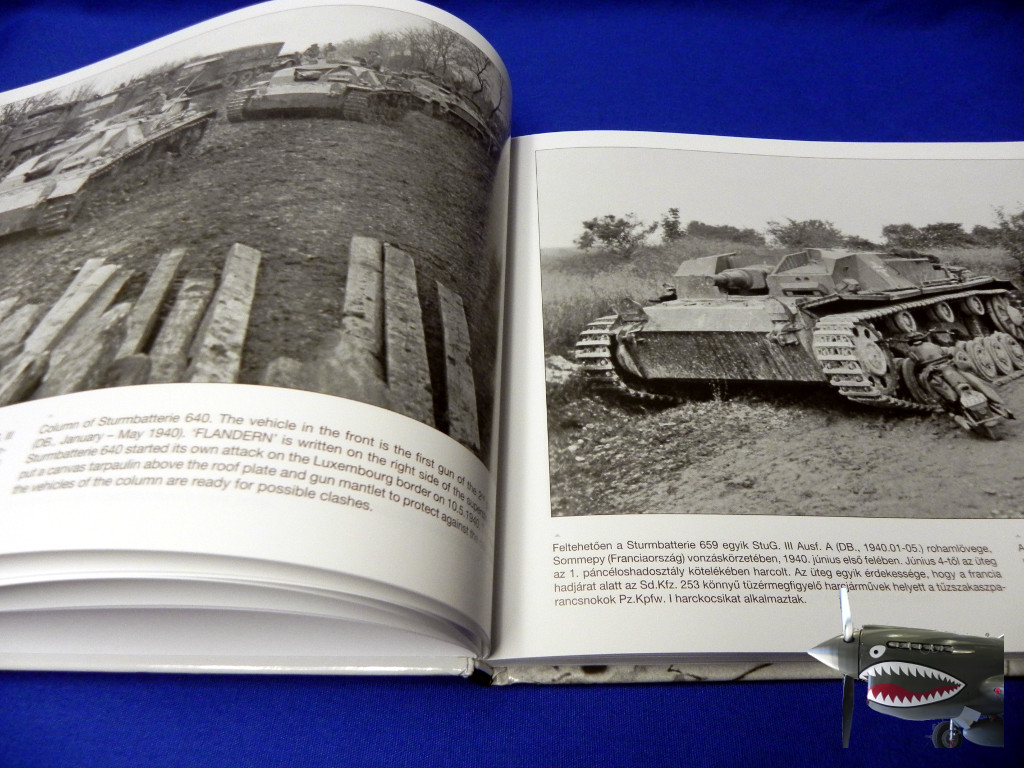 PeKoStug5b.JPG