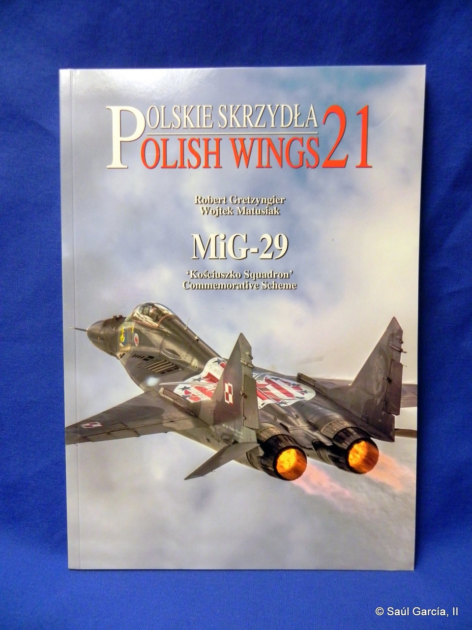 PolishWings21.jpg