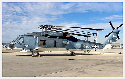 Retro_Paint_MH-60_Blues_Centennial-_Of_Naval_Aviation~0.jpg