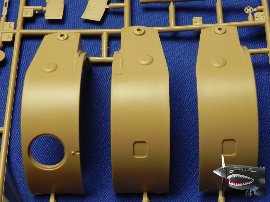 RFM5001Tiger1SprueTreezDetails04.JPG