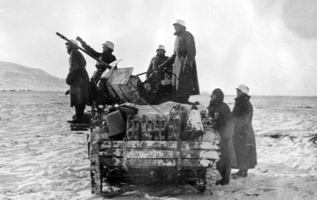 SdKfz_10_4_winter_camo.jpg