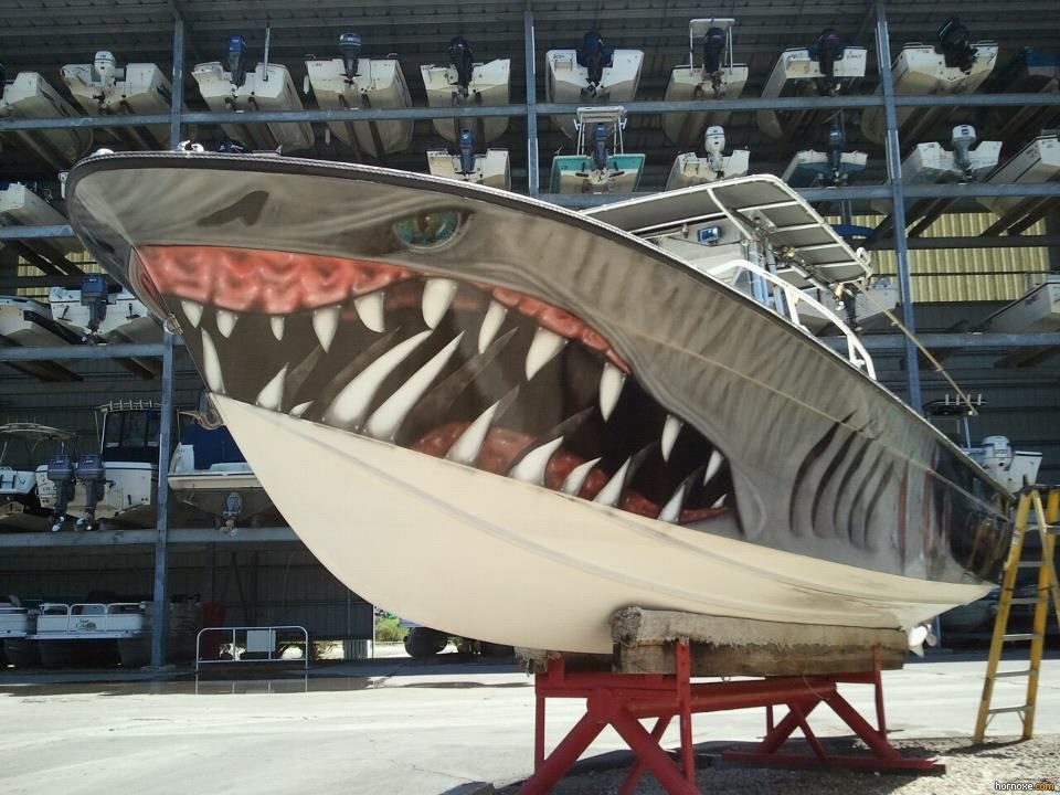 sharkboat.jpg