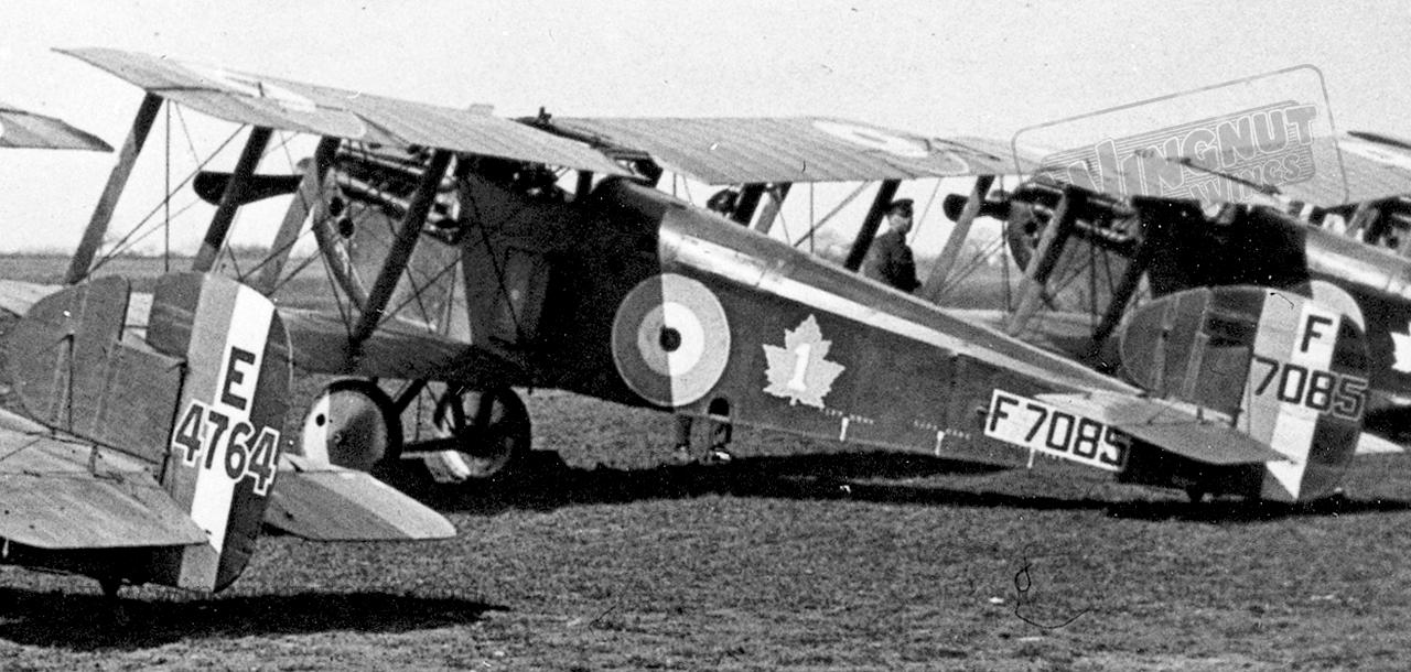 Sopwith_5F_1_Dolphin_F7085_of_1_Squadron_Canadian_Aif_Force_280383-08429.jpg