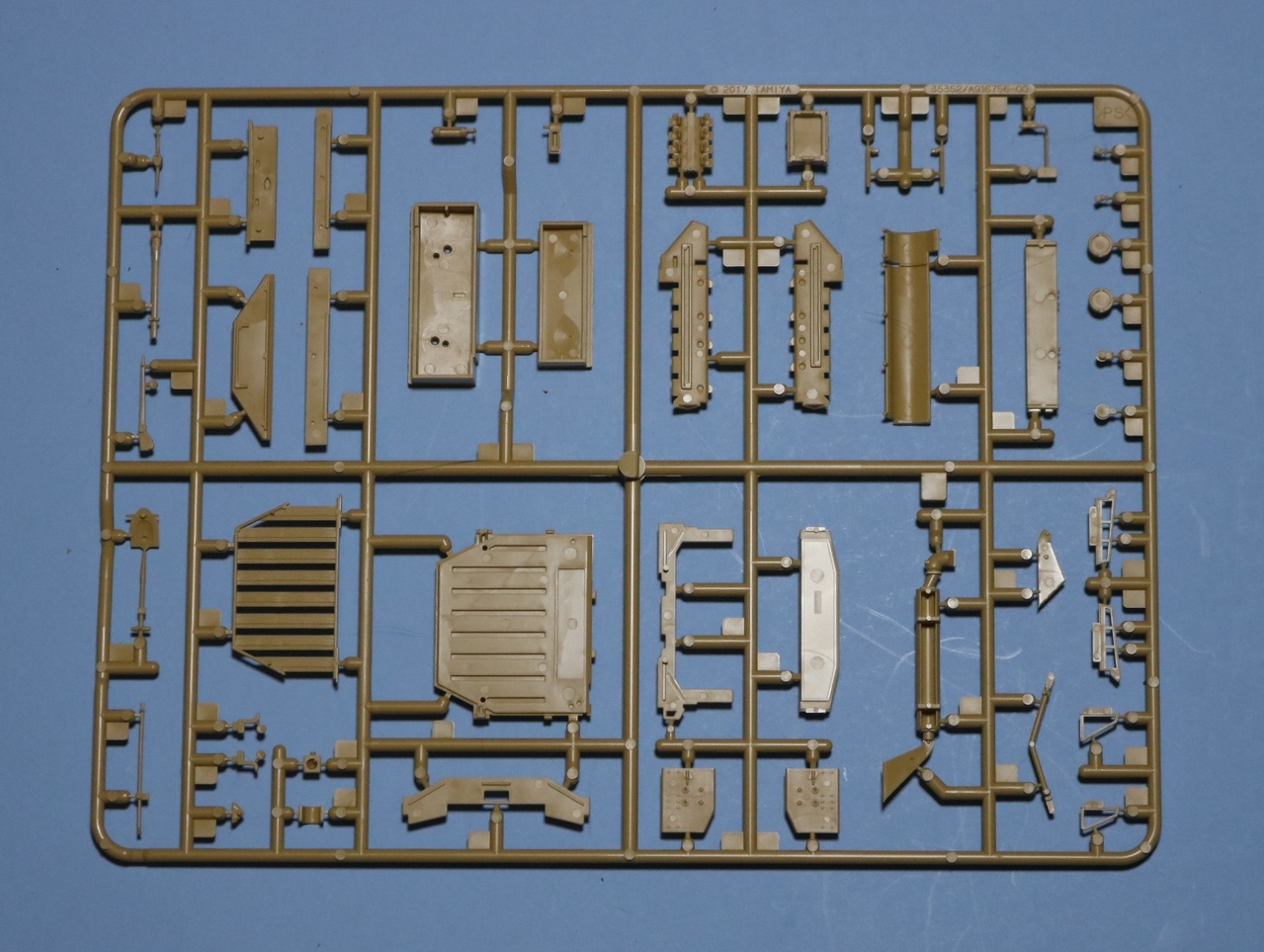 Sprue_C2.JPG