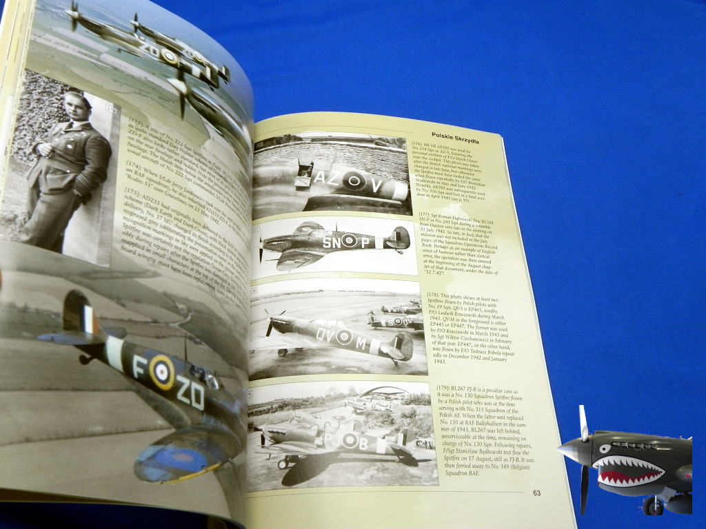 StratusPW30SpitfireVvol2d.JPG