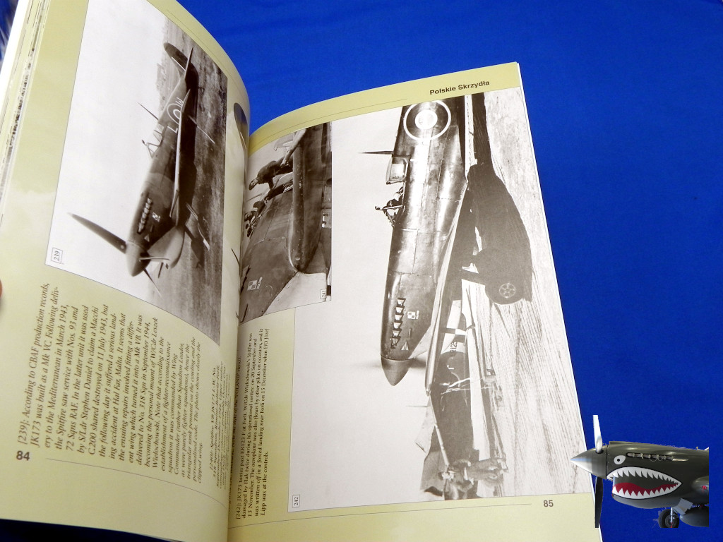 StratusPW30SpitfireVvol2e.JPG