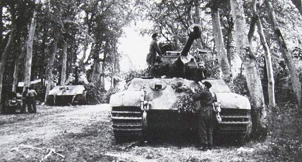Tiger_2.jpg