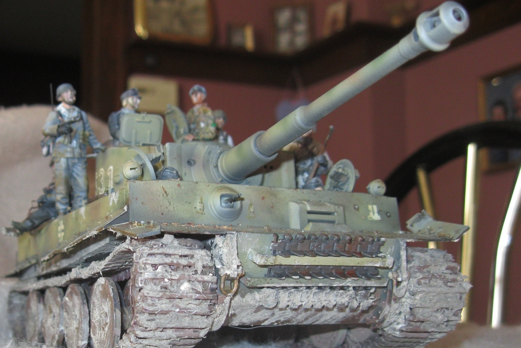tiger_with_paras_016.jpg