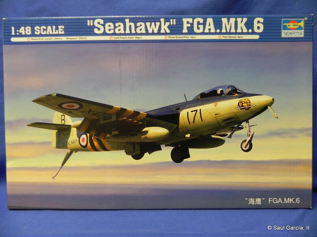 TrumpeterSeaHawkFG6.JPG