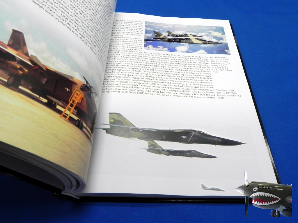 UCCombatAircraftOverVioetnamVol1USAF08.JPG
