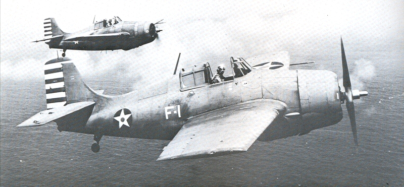 wildcat.jpg