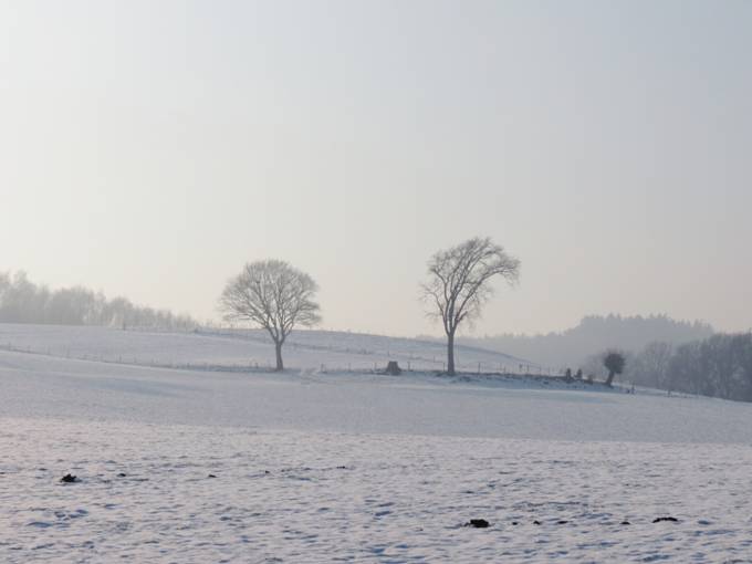 winter Limburg3