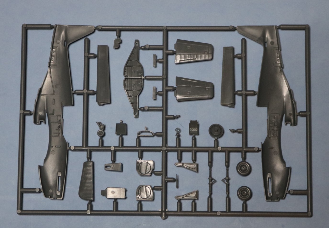 Sprue_1B.JPG