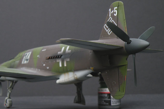 h2865198.JPG