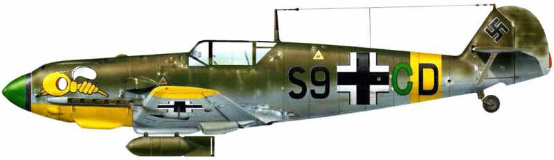 hed29510.jpg