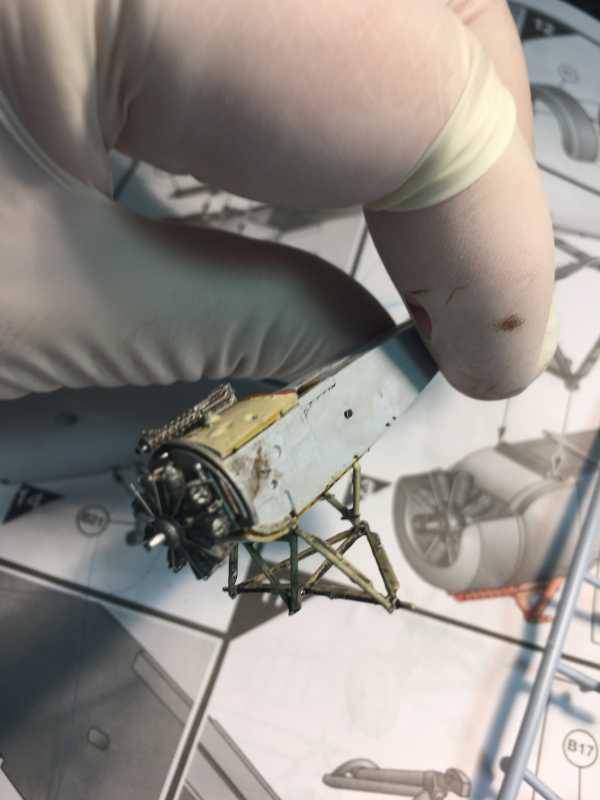 h7153425.JPG