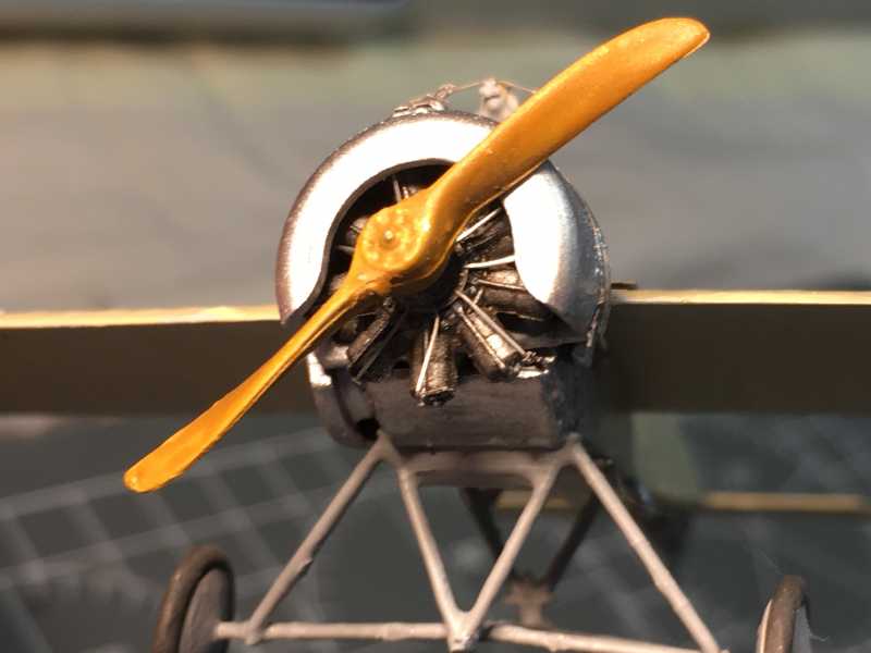 h905c055.JPG