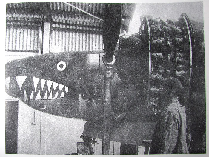 A-26biafra21.jpg