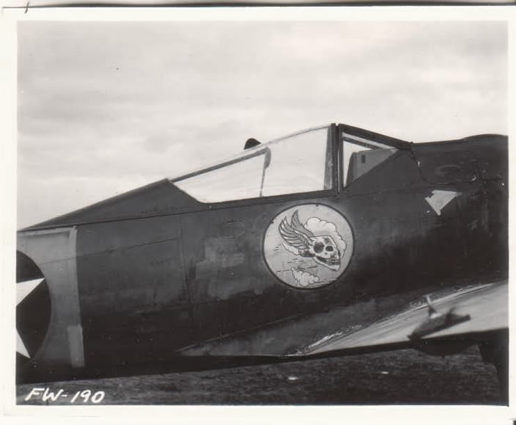 CapturedPhotoFW190USWingedSkullInsignia1.jpg