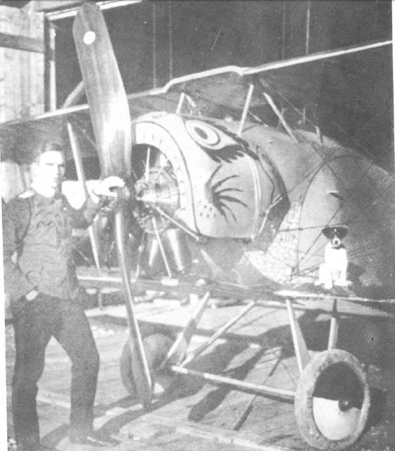FokkerDVJasta16Ensisheim1916PilotoLtGrnzweig.jpg