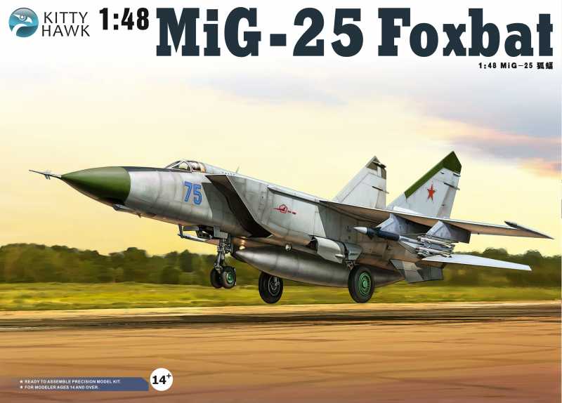 MiG25foxbat.jpg