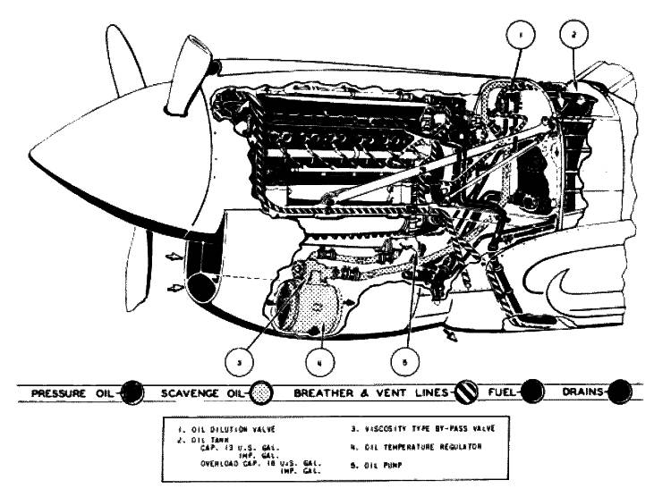 P-40OilSystem.jpg