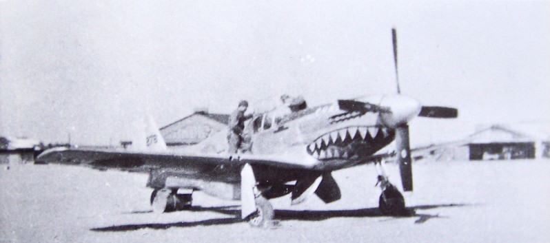 P-51C-11-NT44-10816Evalina2Lt.SamMcMillanflyingStrawbridgesplane.jpg