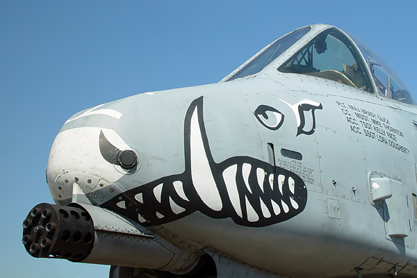 a-10warthog-tank-buster-1a.jpg