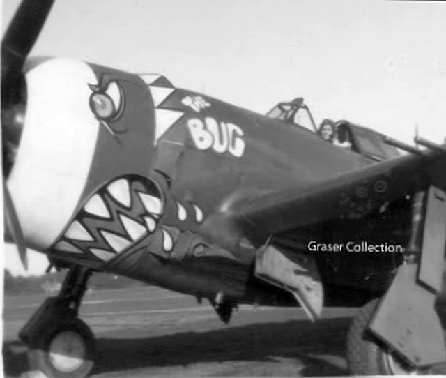 p-47bugnorisgraser640px.jpg