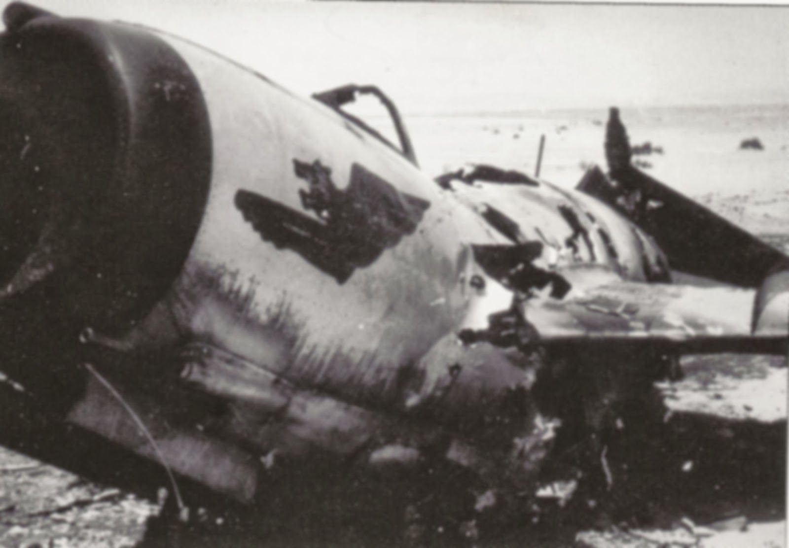MiG-17+wreck%237.jpg