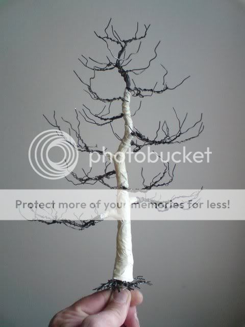 TreeSBSdemo023.jpg