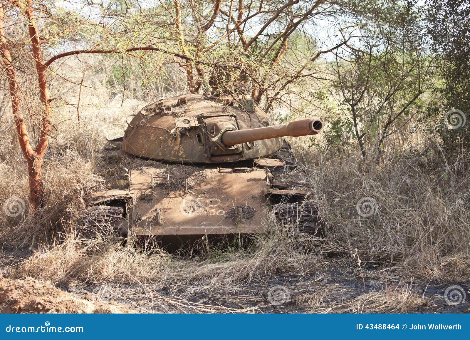 wrecked-tank-south-sudan-northern-sudanese-destroyed-civil-war-43488464.jpg